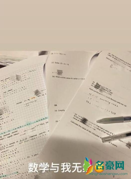 李嫣考试交白卷