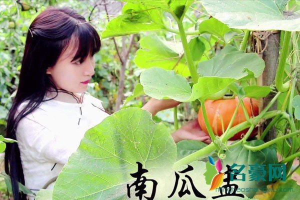 李子柒天天向上哪一期 汪涵钱枫很喜欢请她了吗