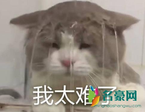 我上辈子一定是道数学题是什么梗