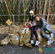 陈冠希躺秦舒培怀里 乐得睁不开眼画面十分幸福