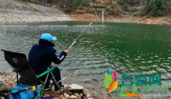 深秋鱼口轻怎么办 遇到轻口鱼如何应对