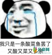 你是酸菜鱼是什么梗 说你又酸又菜又多余是什么意