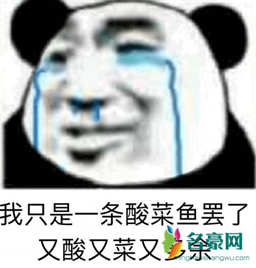 你是酸菜鱼是什么梗