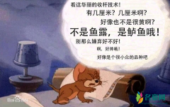 不是鱼露是鲈鱼哦什么意思什么梗