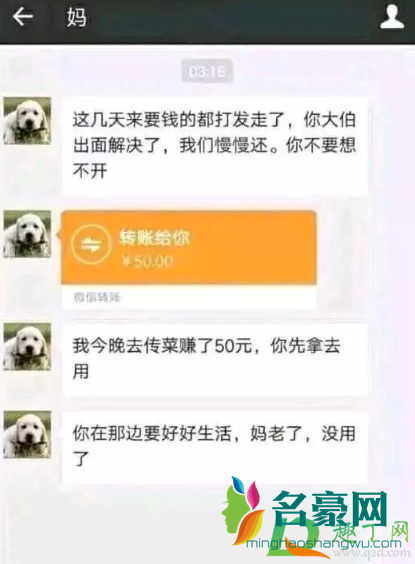 妈宝刀未老你放心去赌表情包图片3