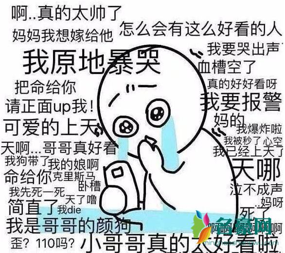 军训式追星是什么梗