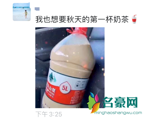 我也想要秋天的第一杯奶茶什么意思2