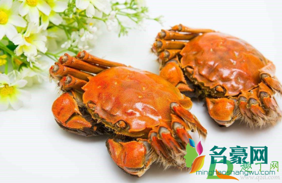 送螃蟹可以送四只吗1