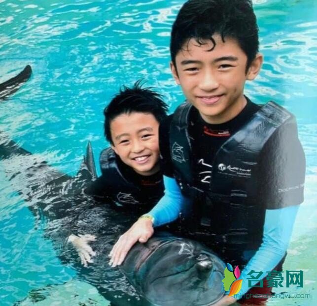 张柏芝儿子与海豚合照