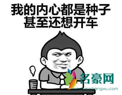 我怀疑你在开车但我没有证据什么梗