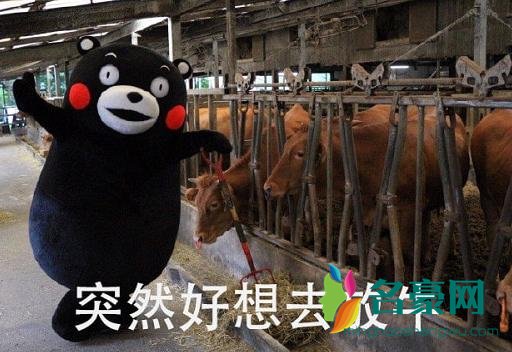 突然好想去放牛是什么梗