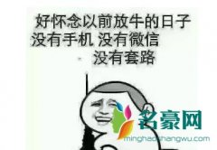 突然好想去放牛是什么梗 突然想放牛出自哪里