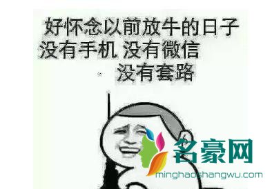 突然好想去放牛是什么梗