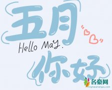 may i love you是什么梗 在五月我爱你什么意思