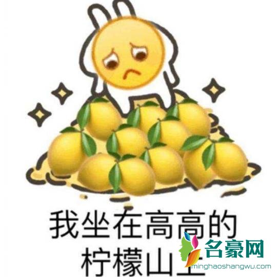 人类的本质是柠檬精什么梗