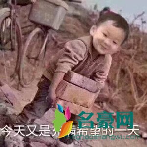 我选择打工是什么梗1