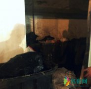 张馨予深夜翻垃圾桶 原来把这个东西弄丢了