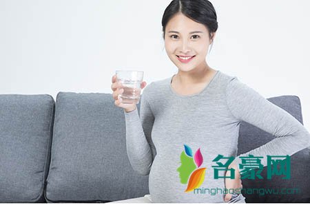 饭圈狗爱豆是什么意思