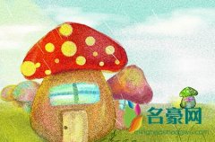 网络用语混合饮料是什么意思 混合饮料出处