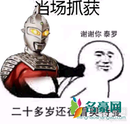 谢谢你泰罗是什么梗 谢谢你泰罗是哪一集