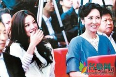 林宁是王健林的原配吗 门当户对总不会找个对自己
