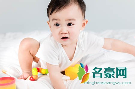 我的马鸭是什么意思