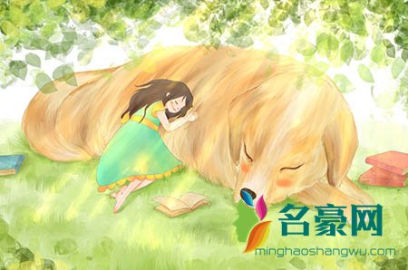 我的天,瞧瞧这个优秀答案什么梗