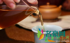 普洱茶属于什么茶系列