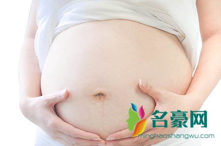 敲里吗是什么梗