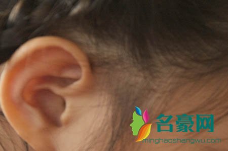 敲里吗是什么梗