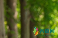 芒果我已经准备好了是什么梗 前任3吃芒果是什么梗
