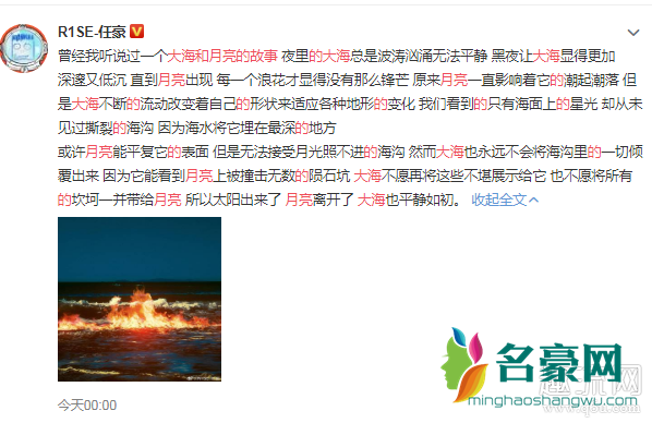 大海和月亮的故事是什么 大海和月亮是什么意思什么梗
