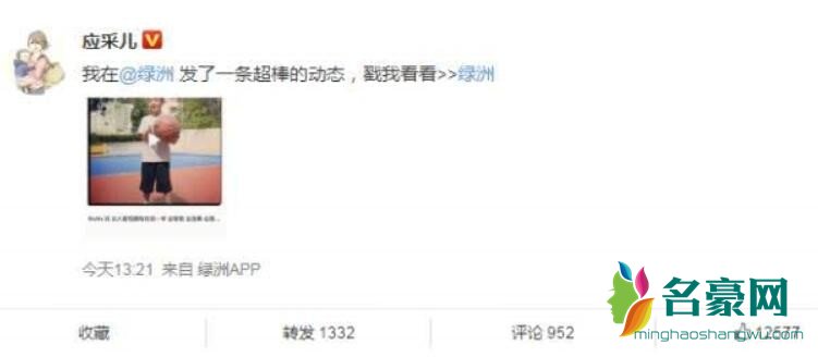 应采儿晒儿子打球