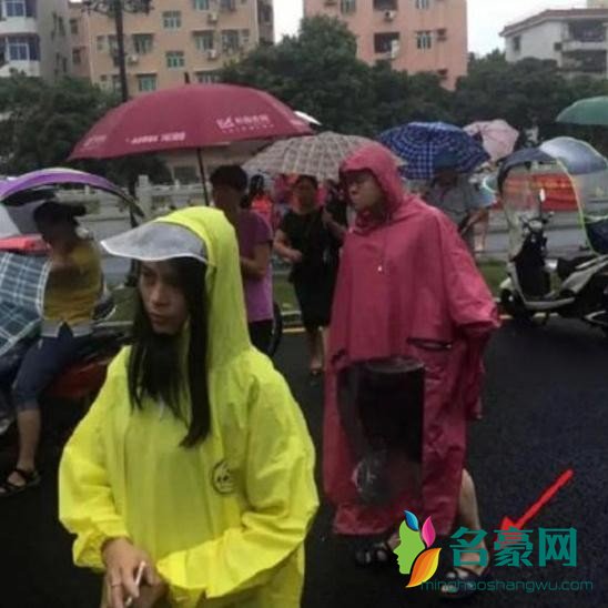 岳云鹏