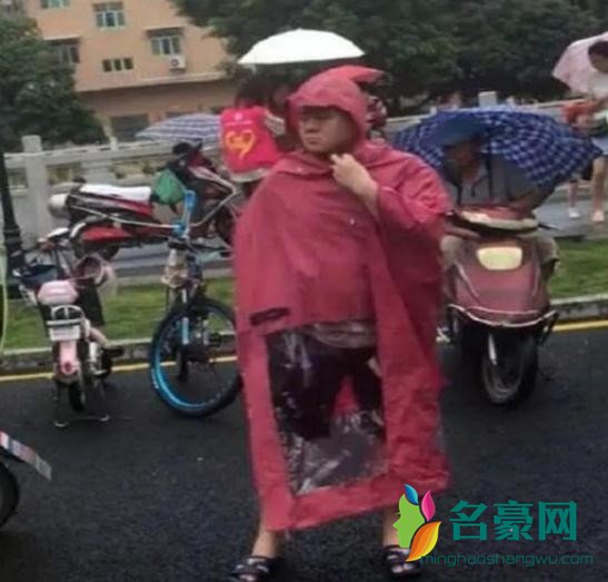 岳云鹏