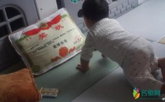 张歆艺晒宝宝爬行照 旁边“最棒爸爸”奖状最抢镜