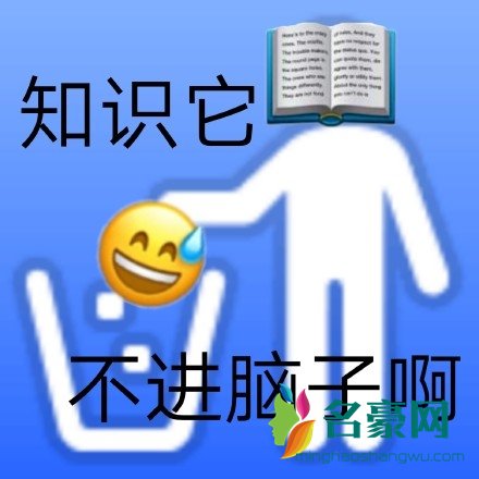 早八人是什么意思 早八人经典语录