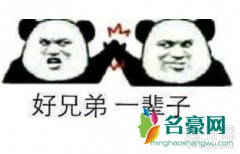 hxdm是什么缩写？hxd又是什么意思