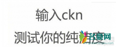 ckn是什么意思污的 类似输入ckn测试的玩法还有哪些