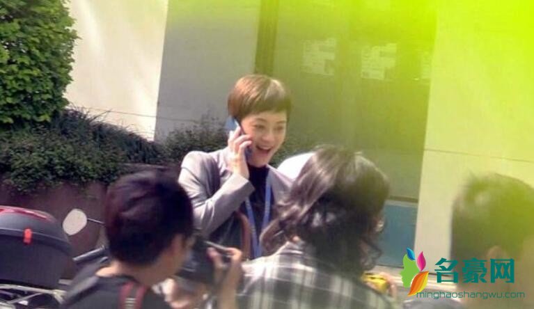 孙俪再演女强人