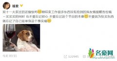 杨紫回应单身 不要因为狂买东西就忘记单身