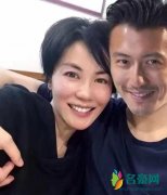 网曝王菲谢霆锋分手 疑是求婚被拒两个人最后不欢
