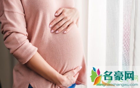 现在公务员可以生三胎吗2