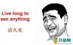 活久见、活久懂是什么梗？活久见下一句是什么