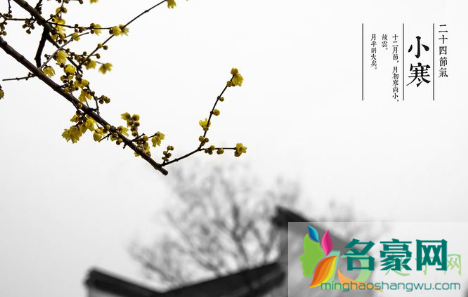 2020小寒是哪一天什么时间4