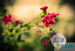 是否遇到恋爱中忽冷忽热的女人 大神剖析她在想什