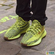 yeezy黄斑马上脚图