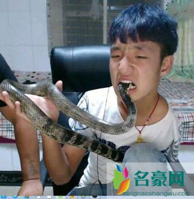 社会你胜哥手怎么断的 这小子是不是把自己胳膊吃了？