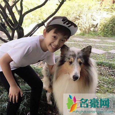 黄天崎2018身高 觉得他长大肯定会成为一个很帅的男孩