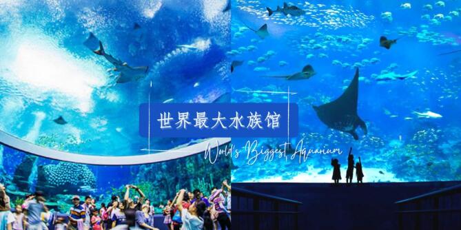 世界上最大的水族馆介绍！让你见识一下水中美丽的